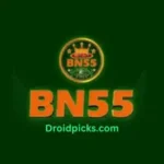 BN55 Game
