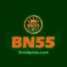 BN55 Game