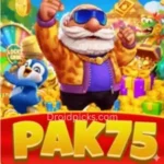 PAK75 Game